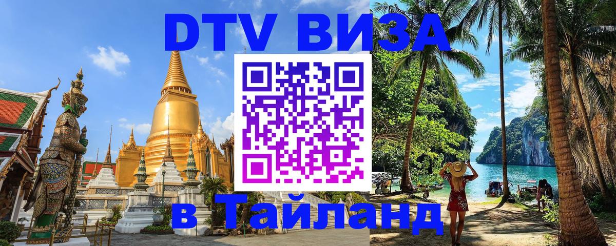 Оформление DTV визы под ключ: стоимость и тарифы, только загранпаспорт - Димитровград 